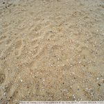 DSC09616