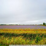 DSC09827