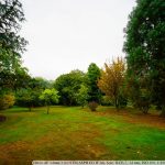 DSC09925