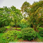 DSC09970