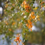 DSC05083