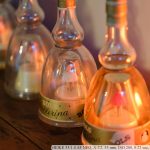 DSCF0543