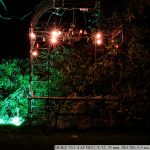 DSCF0629