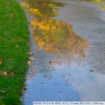 DSCF1159