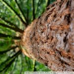 DSCF2357