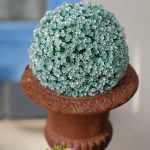 DSCF9031