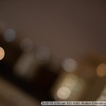 DSC03406