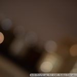 DSC03407