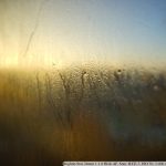 DSC00429