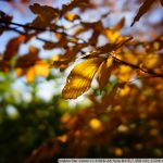 DSC00537