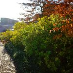 DSC00565