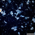 DSC07929-42_germatrane_Pol_Plan40x065