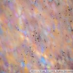 DSC08061