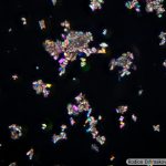 DSC08172-86_Pl40x_pol