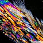 DSC08194-97_Pl40x_pol