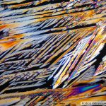 DSC08198-203_Pl40x_pol