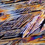DSC08201