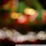 DSC08475