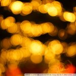 DSC08497