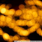 DSC08506