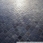 DSC09195