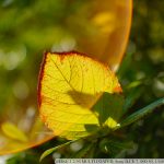 DSC09620