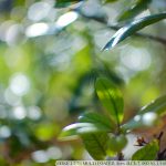 DSC09760