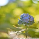 DSC_6547-f-1-4
