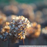 DSC00174