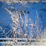 DSC00951