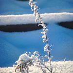 DSC00957