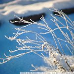 DSC00966
