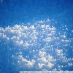 DSC00980