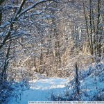 DSC00997
