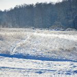 DSC01039