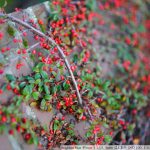 DSC01409