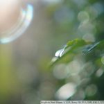 DSC01869