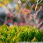 DSC01910