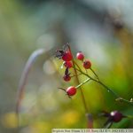 DSC01956