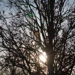 DSC02009