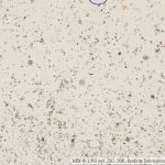 DSC08845