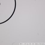 DSC09040