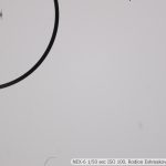 DSC09041