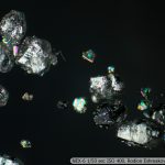 DSC09099