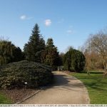DSC02099