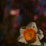 DSC02298