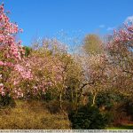 DSC02332