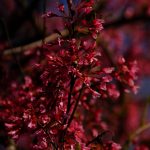 DSC02378