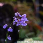 DSC06575