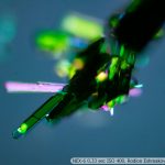 DSC02860